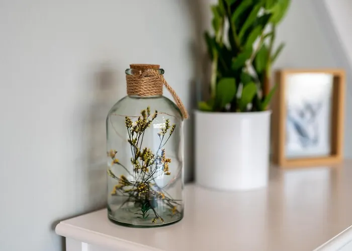 W Rudawach I Laka Goraca Balia Baseny *